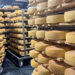 Estonian "E-Piim Tootmine" bankruptcy administrators prepare to sell factories for 90 million euros