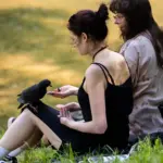 After the storms – great news: pleasant summery weather will pamper us