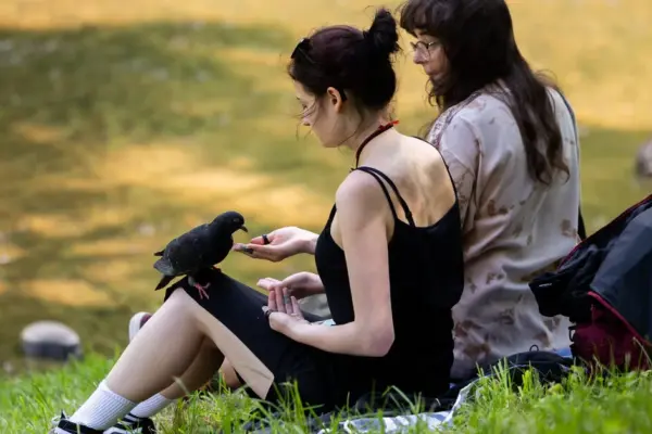 After the storms – great news: pleasant summery weather will pamper us
