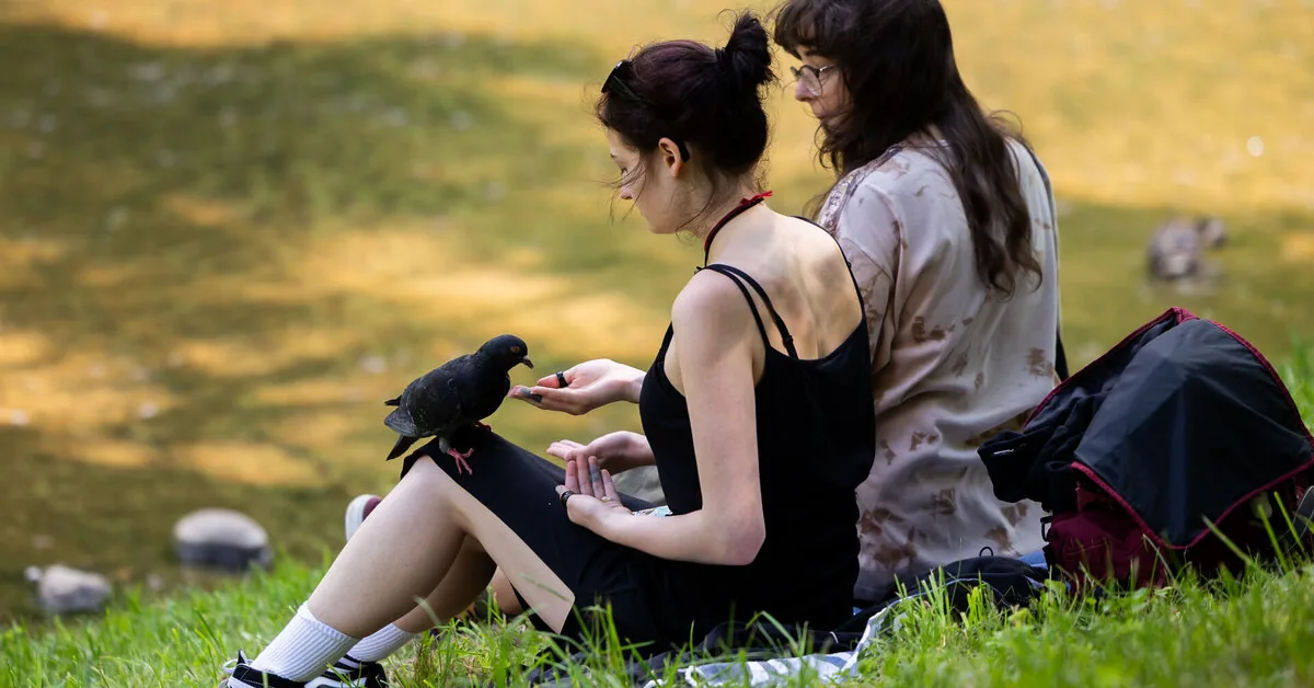 After the storms – great news: pleasant summery weather will pamper us