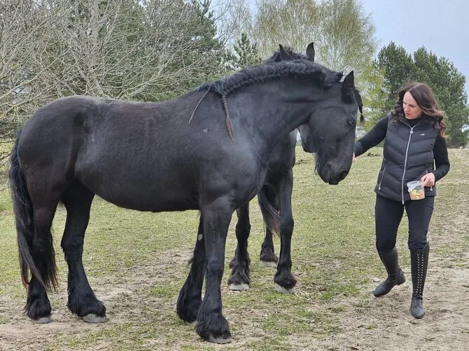 Photo by Daiva Gylienė / "Horse Oasis", Ramunė Radavičienė