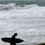 Tragedija Australijoje: ryklio užpultas naras žuvo