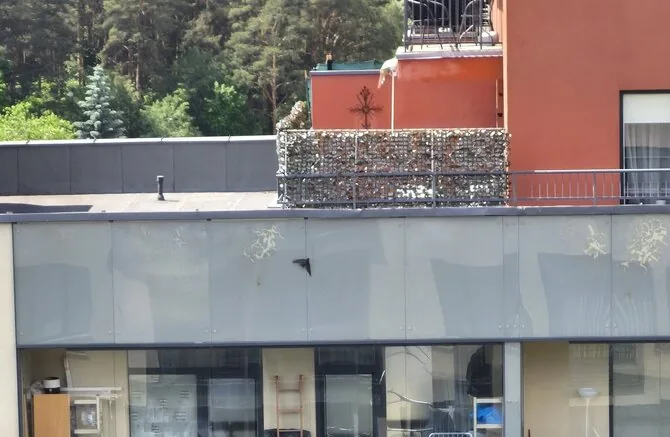 15min reader's photo/Firefighters rescued a trapped bird