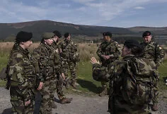 Irish Armed Forces