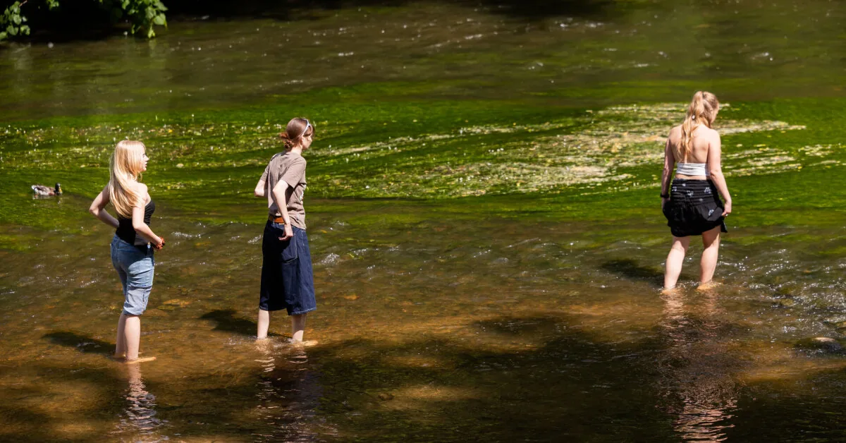 The weather forecaster revealed what June will be like: if not warm, it should be hot