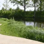 Where it is safe to swim: published water test results of Panevėžys district