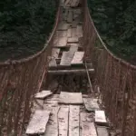 Suspension bridge broke during a holiday hike: a couple of tourists fell from a height of 20 meters in Indonesia and died
