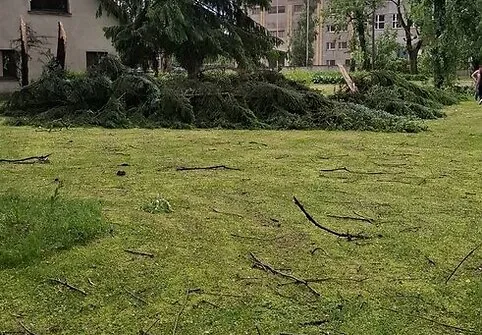 714862211_4511734112406007_4825844520222821985_n