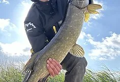 Ernestas Monginas