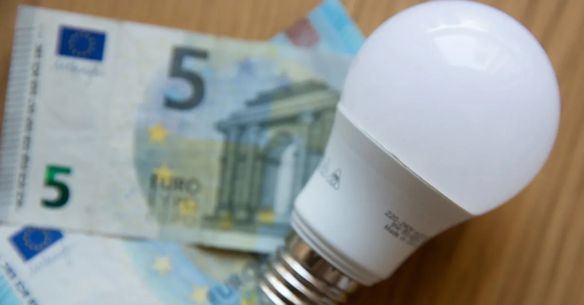 President proposes temporarily reducing electricity prices for industry: debt would be repaid later