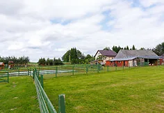Ožka malė