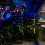 A BMW car drove into the "Courtyard by Marriott Vilnius" hotel on Rinktinės street