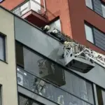 Unusual operation in Vilnius: firefighters rescued a trapped bird