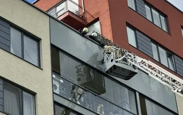 Unusual operation in Vilnius: firefighters rescued a trapped bird