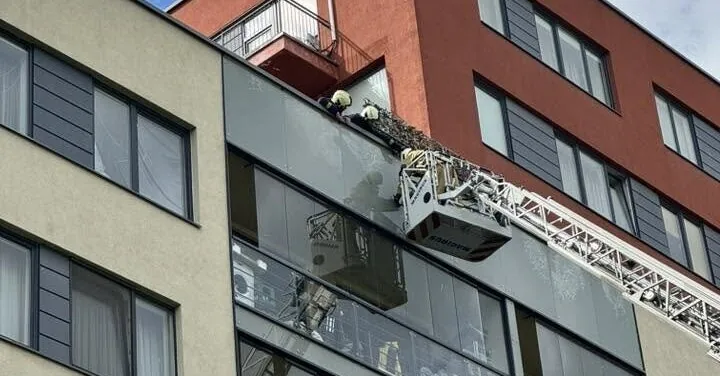 Unusual operation in Vilnius: firefighters rescued a trapped bird