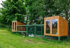 Ožka malė