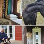 Having left the city, they created a paradise in the Lithuanian countryside: the way these people live now resembles a fairy tale