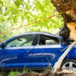 „There was a huge crash“: A tree that fell in Vilnius damaged three cars