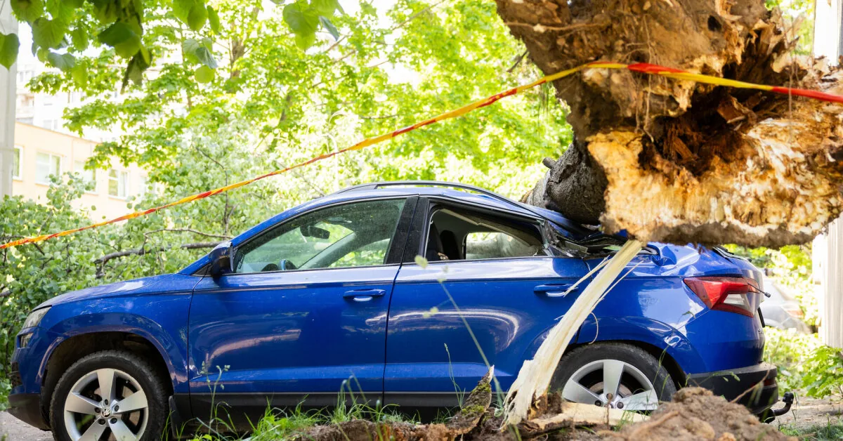 „There was a huge crash“: A tree that fell in Vilnius damaged three cars