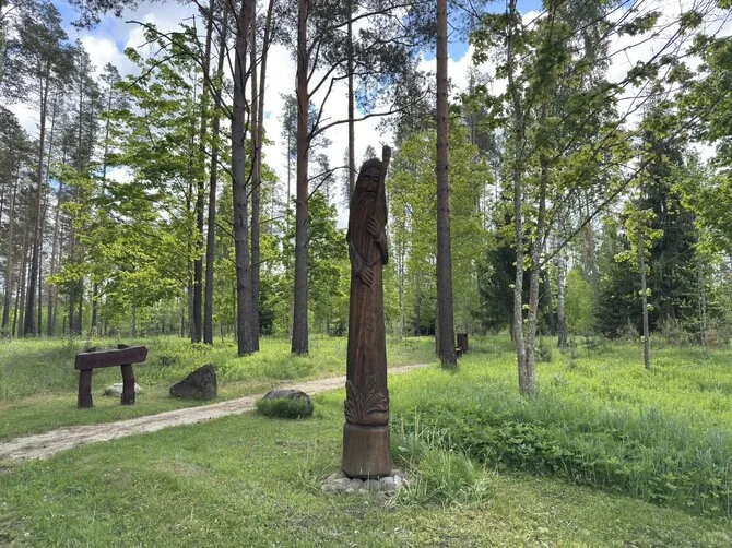 Valstybinių miškų urėdijos nuotr. / Luokavos piliakalnis