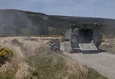Irish Armed Forces