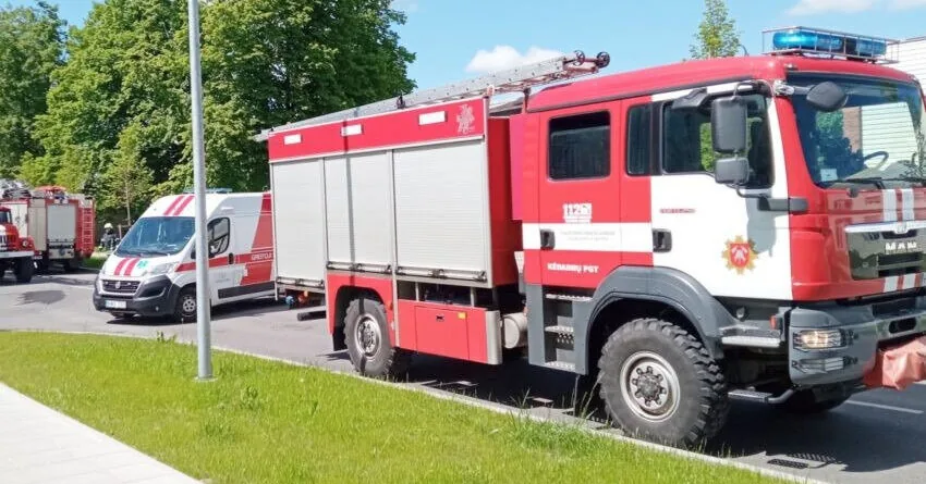 Friday tragedy in Kupiškis district: woman died along with her pet