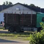 Drunk drivers on Polish roads: sentenced in an expedited procedure