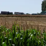 BNS Sprint: Thursday events in brief