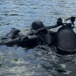 Diver missing in the Baltic Sea: even the Latvian Navy is searching