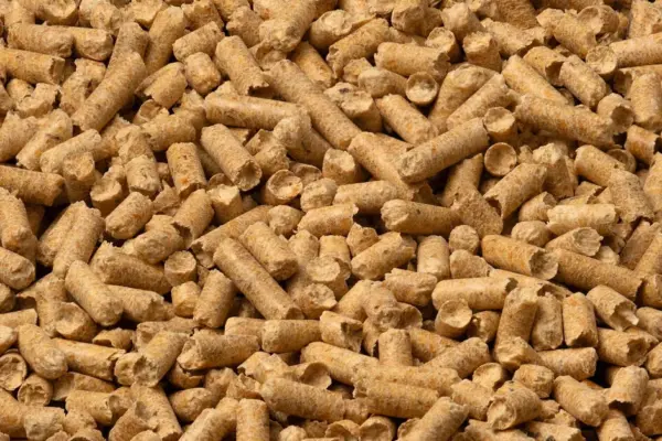 Due to high demand, Latvian wood pellet manufacturers are not accepting new orders