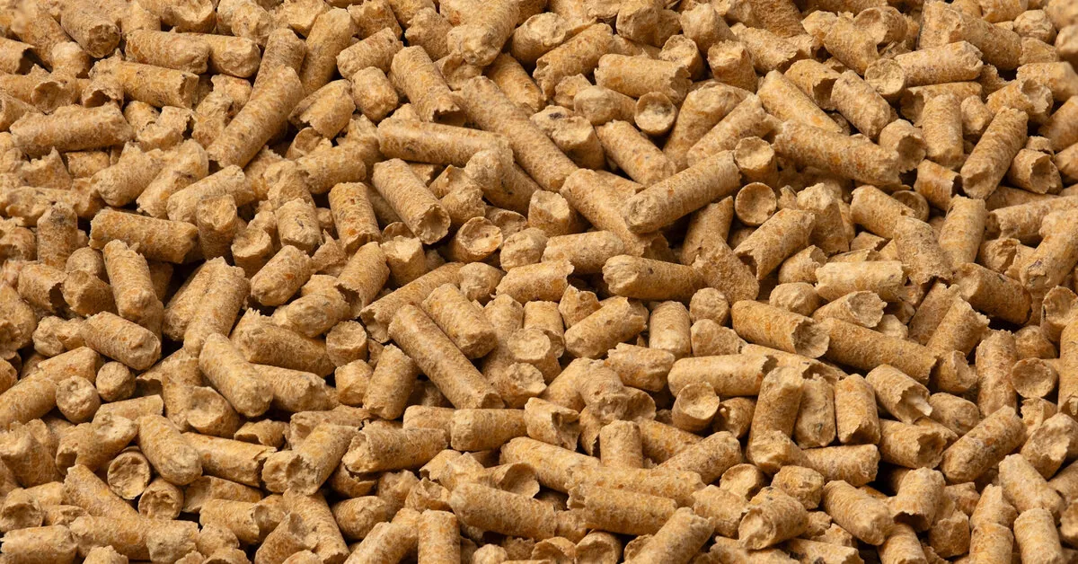 Due to high demand, Latvian wood pellet manufacturers are not accepting new orders