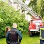 Venous blood clot: passerby saw a 2-year-old child walking on the windowsill