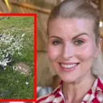 Rūta Mikelkevičiūtė was shocked by the sight in the home yard: "What a disaster..."