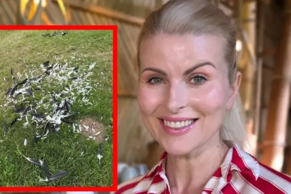 Rūta Mikelkevičiūtė was shocked by the sight in the home yard: "What a disaster..."