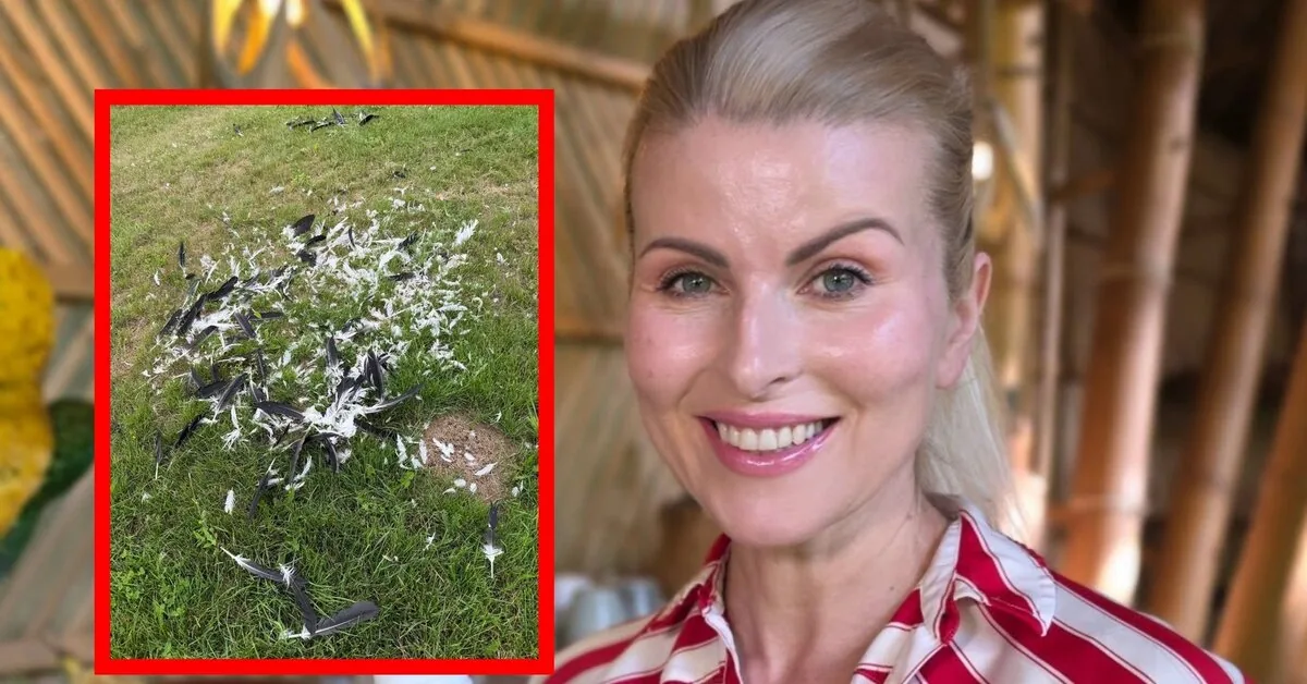 Rūta Mikelkevičiūtė was shocked by the sight in the home yard: "What a disaster..."