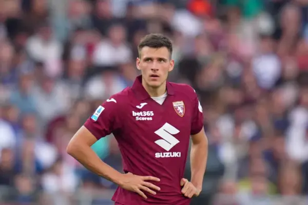 Italian media described the situation of Gvidas Gineitis at the "Torino" club