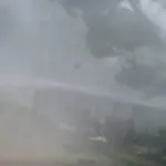 Surveillance camera captured the fury of the elements: a tree fell onto the animal shelter enclosures
