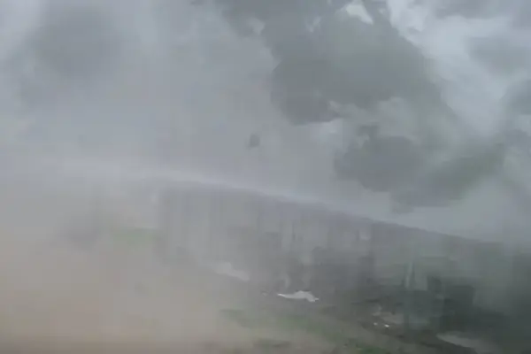 Surveillance camera captured the fury of the elements: a tree fell onto the animal shelter enclosures
