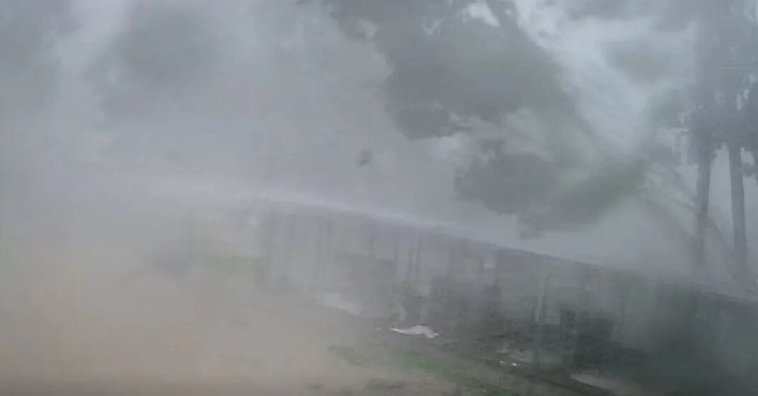 Surveillance camera captured the fury of the elements: a tree fell onto the animal shelter enclosures