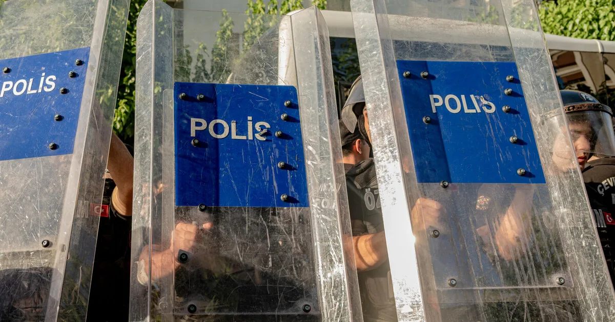 Rock star and civil society activist Haluk Levent detained in Turkey