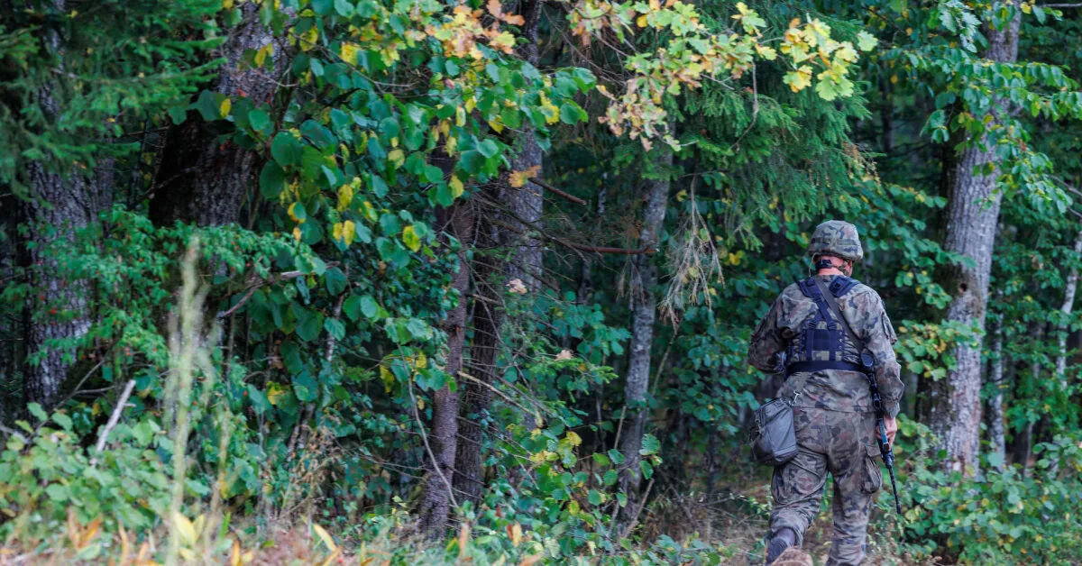 The Government allocated 800 thousand euros to pay for the overtime of officers fighting smuggling