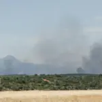 Spanish officials: a forest fire north of Madrid has devastated an area of 12,000 hectares