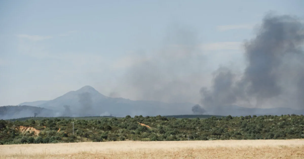 Spanish officials: a forest fire north of Madrid has devastated an area of 12,000 hectares