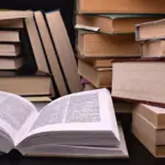 TOP 10 Lithuanian authors' books worth reading this summer
