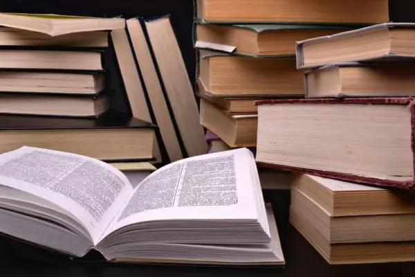 TOP 10 Lithuanian authors' books worth reading this summer