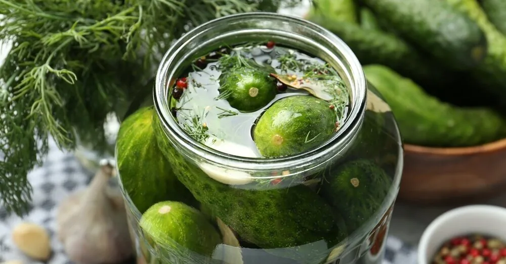 Forget the vinegar: the chef revealed how to prepare the crispiest pickles