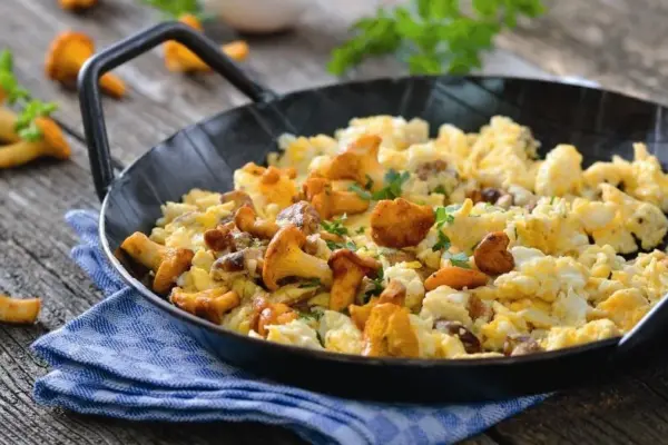 Have you gathered chanterelles? These 20 recipes will help you use them deliciously