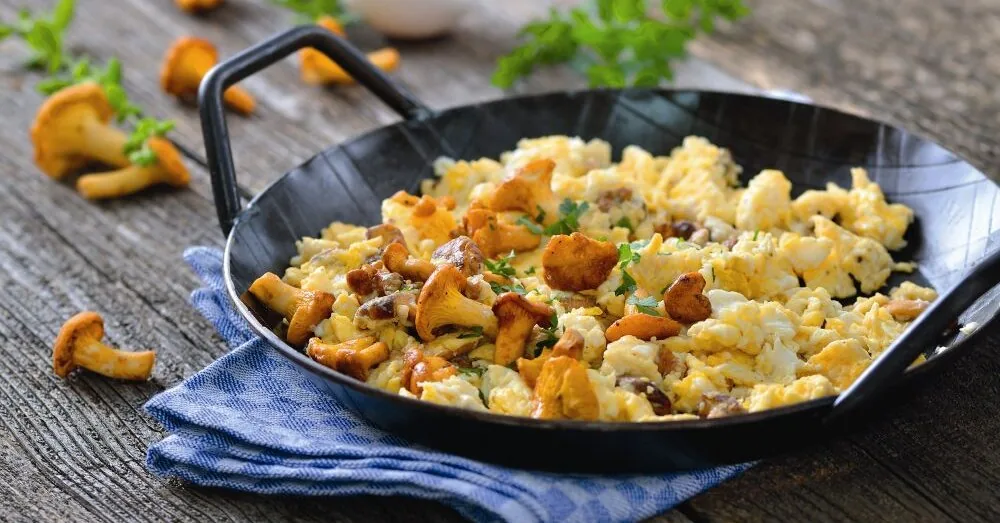 Have you gathered chanterelles? These 20 recipes will help you use them deliciously