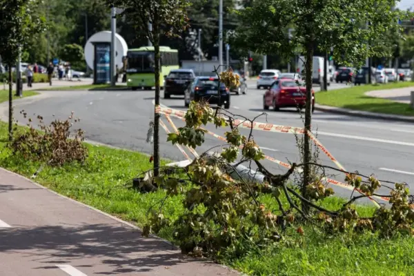 Vilnius place marked by two deaths caused passions: why has it not been tidied up in three weeks?
