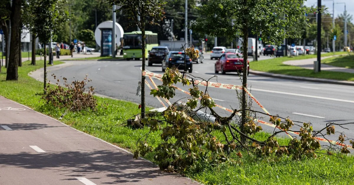Vilnius place marked by two deaths caused passions: why has it not been tidied up in three weeks?